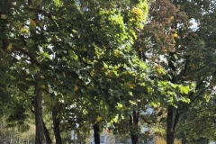 20251001_121844