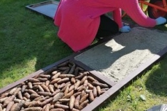 194317499_330069905485441_4522376911943759847_n