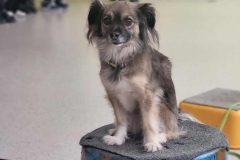 12fe5515-ee10-4401-95b5-77e0805a8bc1