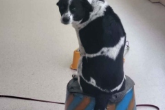 2f051106-919b-432f-b914-997a9c405cda