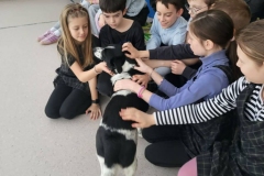 f97af398-1e52-4b93-8666-657c06e95afe